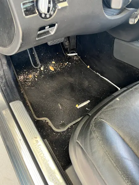 Deep Vaccum and Tornador — before